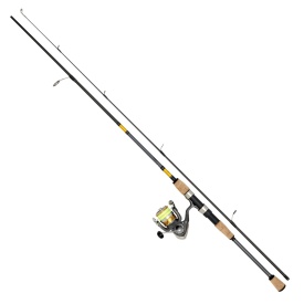 Daiwa Laguna LT Haspelset