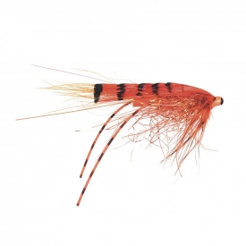 Frödin Micro Series - G.P Special